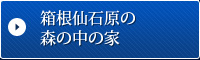 箱根仙石原の森の中の家